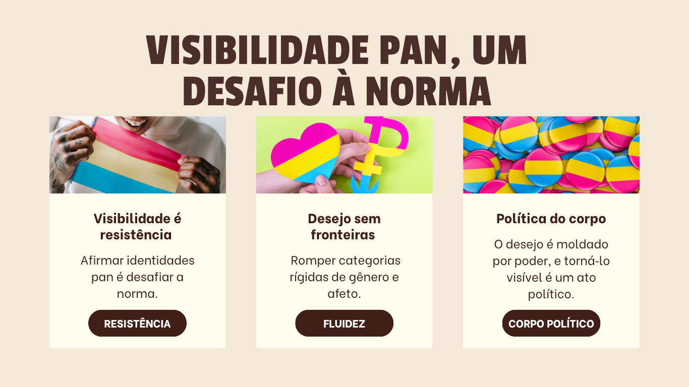 VISIBILIDADE PAN UM DESAFIO À NORMA